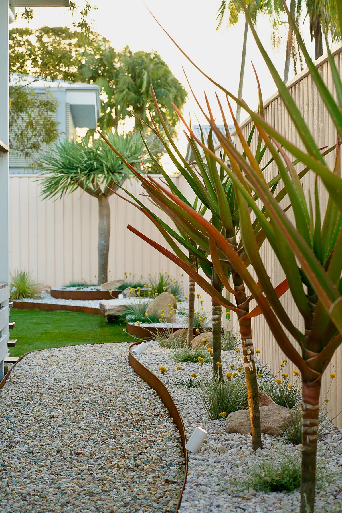 Corten steel garden edging with white pebbles and dragon trees